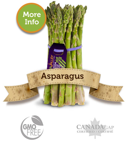 Asparagus