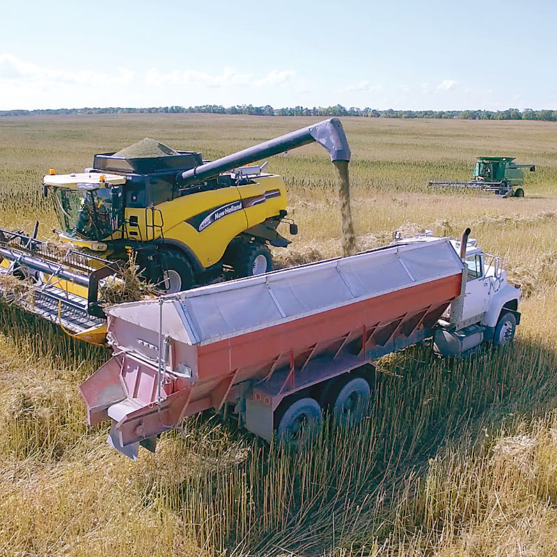 Harvesting Hemp